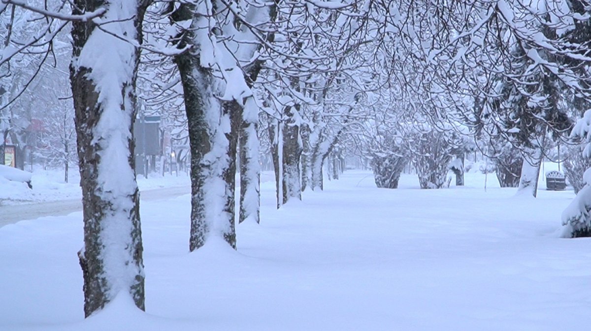 EduInform's tweet image. В Краснодаре из-за снегопада отменили занятия в школах krasnodar.edu-inform.ru/news/v-krasnod…