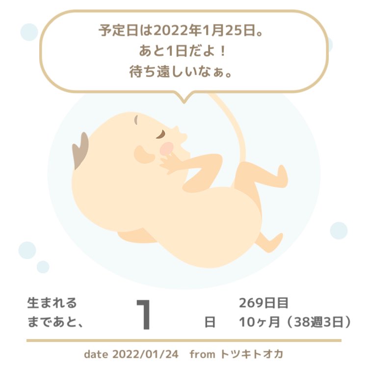 ぽー 8y 2y 38w Gomahunboruto Twitter