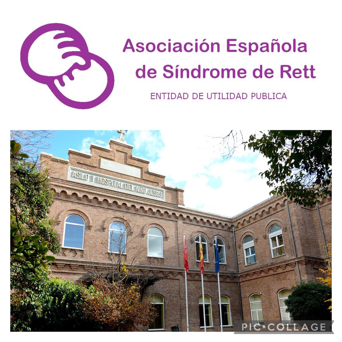asociacionrett's tweet photo. @asociacionrett creó en 2019, en colaboración con el Hospital Infantil Niño Jesús de Madrid, una unidad multidisciplinar para el tratamiento del síndrome de Rett en España que está proporcionando un servicio valiosísimo a afectados de todo el país. #Salud
#Rett #Cuidar #AESR 💜 https://t.co/BaxYQhWHGQ