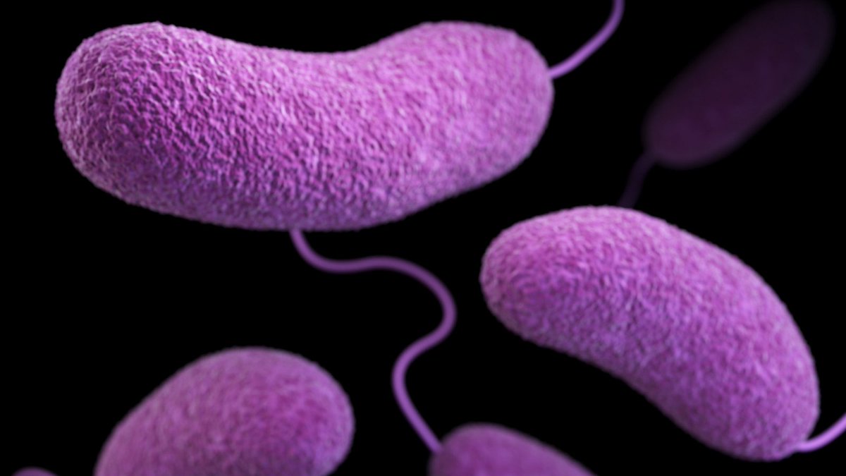 moligotech tweet media