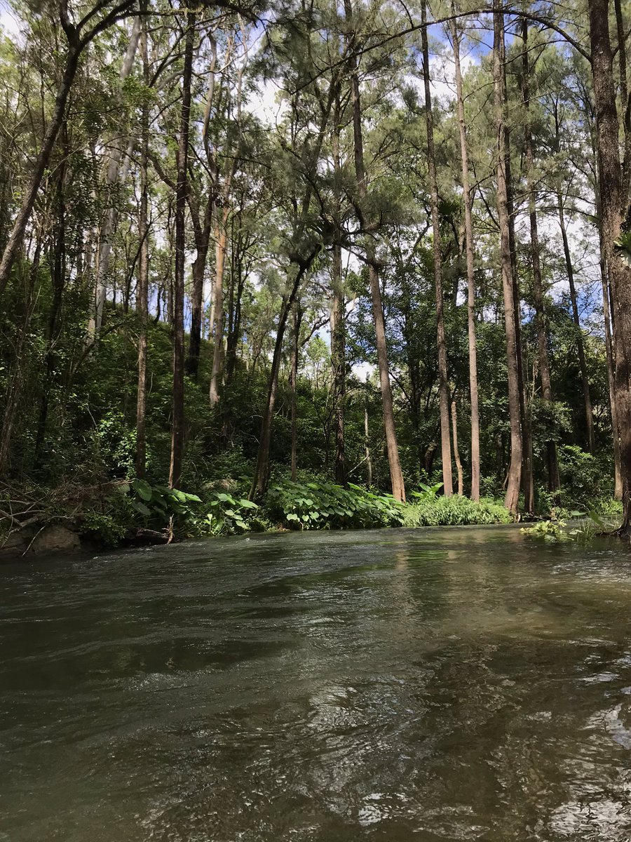 searlaitoneilll's tweet photo. Working on beautiful Dunghatti country this week. Convinced that #practiceledresearch includes multiple long swims per day 🧖🏻‍♀️ #WritingCommunity #AlwaysWasAlwaysWillBe https://t.co/KsHVGuFXNI