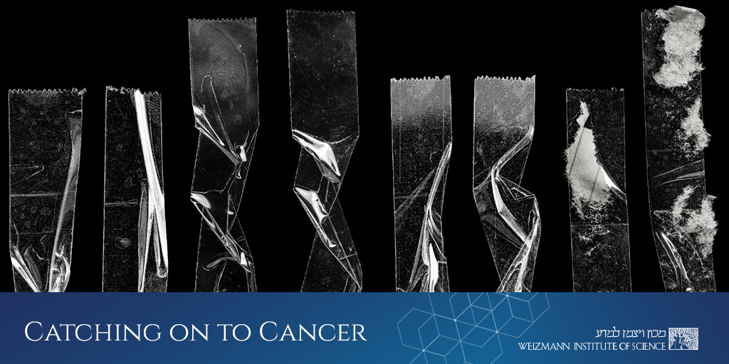 Dr. Nir London and his collaborators have discovered a particularly “sticky” #molecule that could lead to the development of an effective treatment for #cancer 👉bit.ly/cancer-tw
<a href="/london_lab/">London Lab</a> #Sulfopin