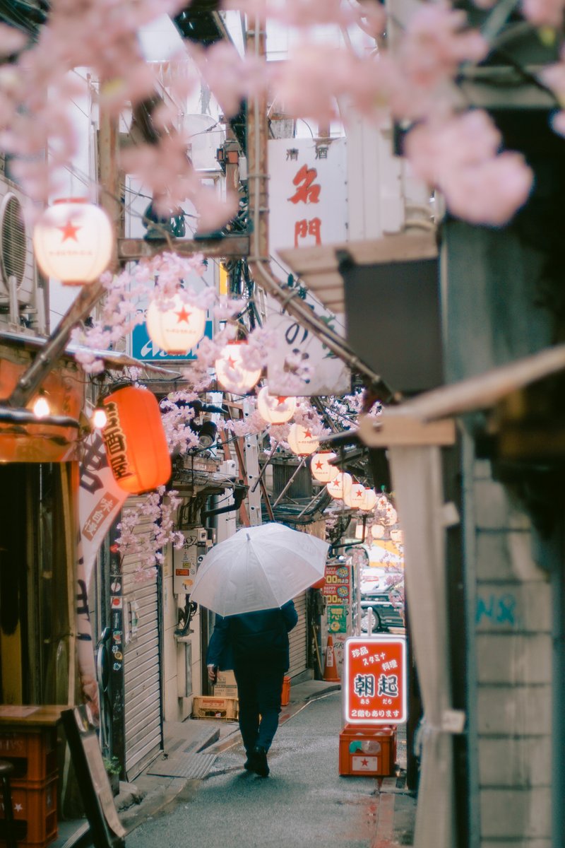 govoes's tweet photo. editing photographs from my followers with #thevisualpoets presets.
purchase here:
https://t.co/jq24U2XUNI https://t.co/7Ja86I2Mh8