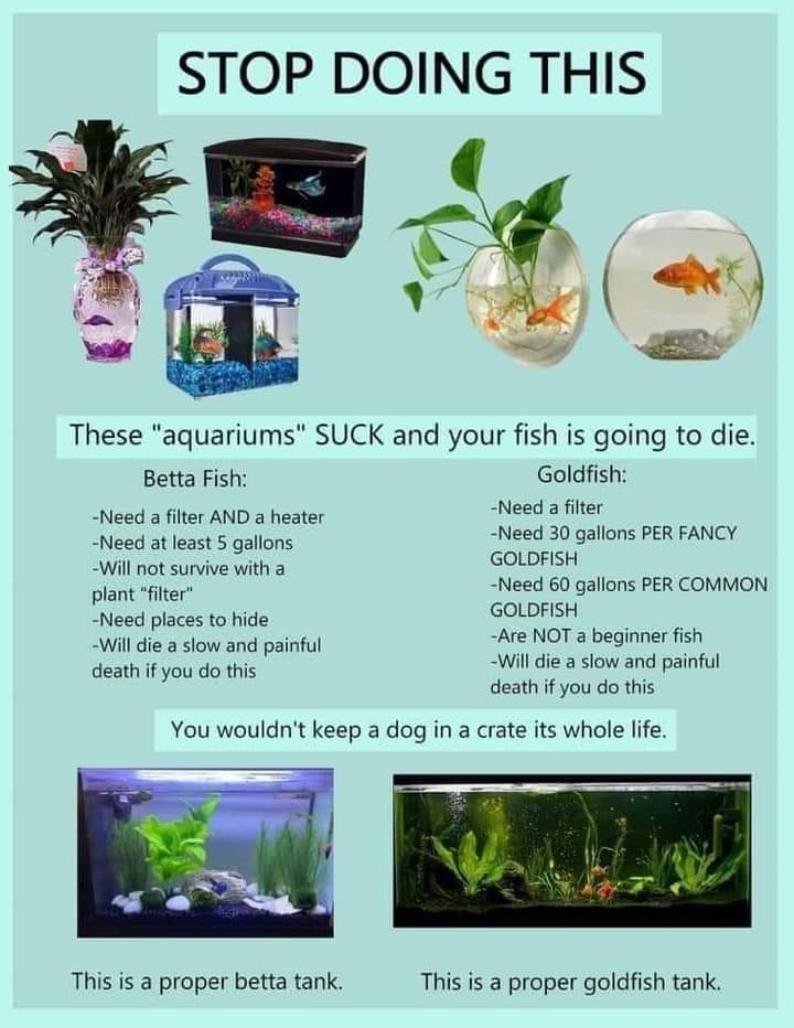 Oui_Cake's tweet photo. Gonna read for the rest of the night. Have this infographic while Im gone: https://t.co/GuedYAwTLY