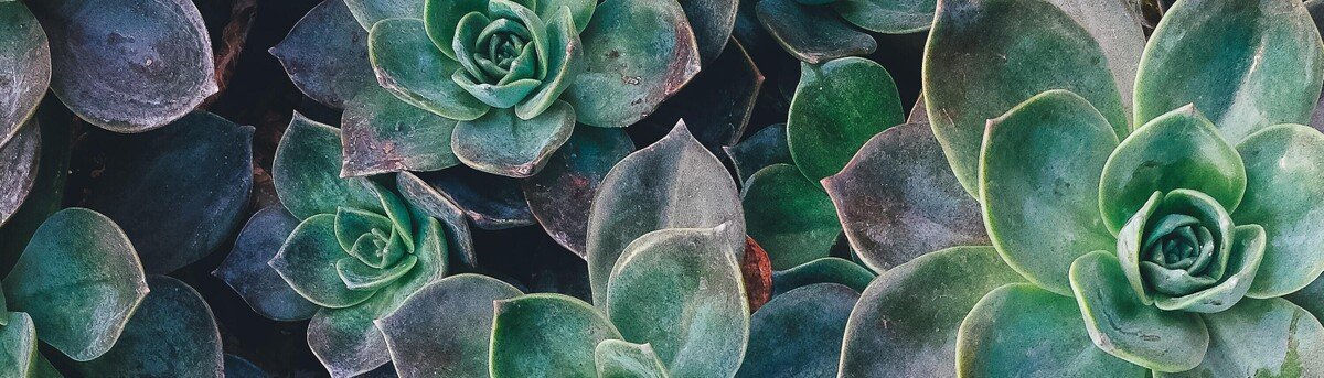 EarthShiftGlbl's tweet photo. Our Life Cycle Assessment, Sustainable-ROI, and Packaging #software — and custom-developed applications — offer a rare blend of power and ease to help you achieve your unique #sustainability goals.

https://t.co/13h9baFkbB #LCA #SROI #ShiftTheEarth https://t.co/ifNX84A6B3