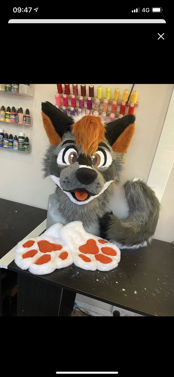 It’s finally happening just been sent pictures of my furry suit which has been completed I can’t wait to revive it in the post
