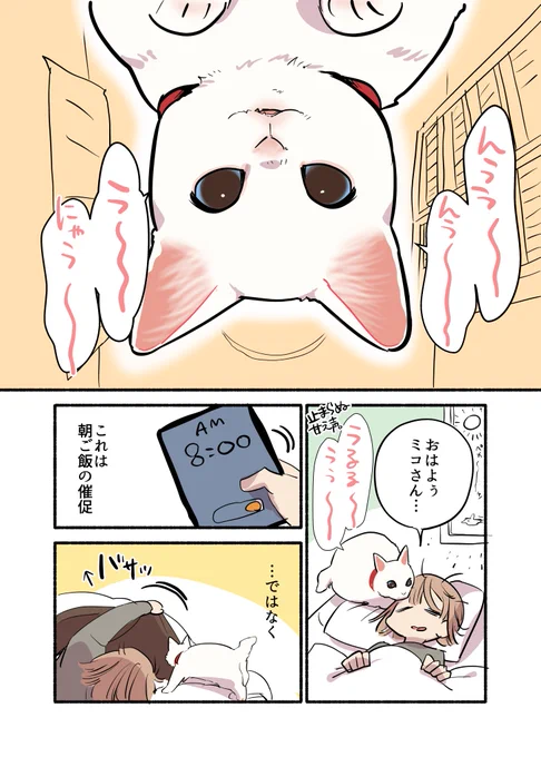 白い猫と暮らしている漫画④です
#ペット漫画 #猫エッセイ 