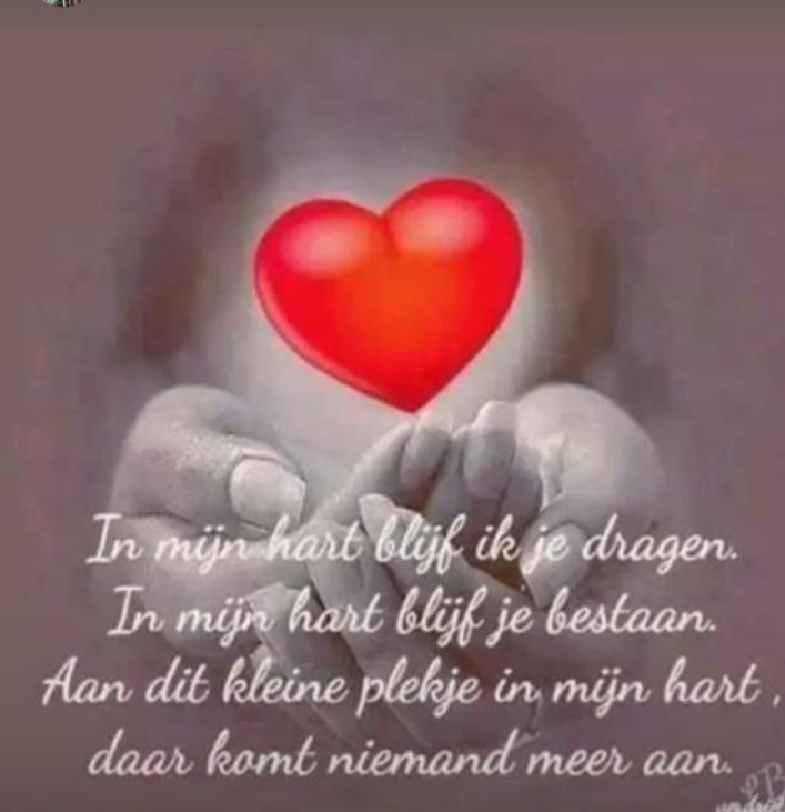 zonnetje (@zonnetjexx) on Twitter photo 