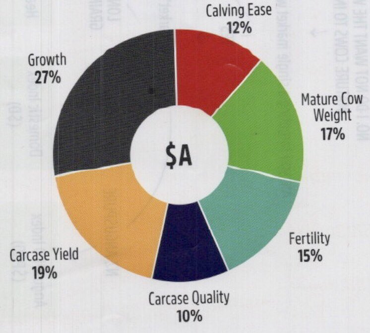 Pathfinder Angus tweet media