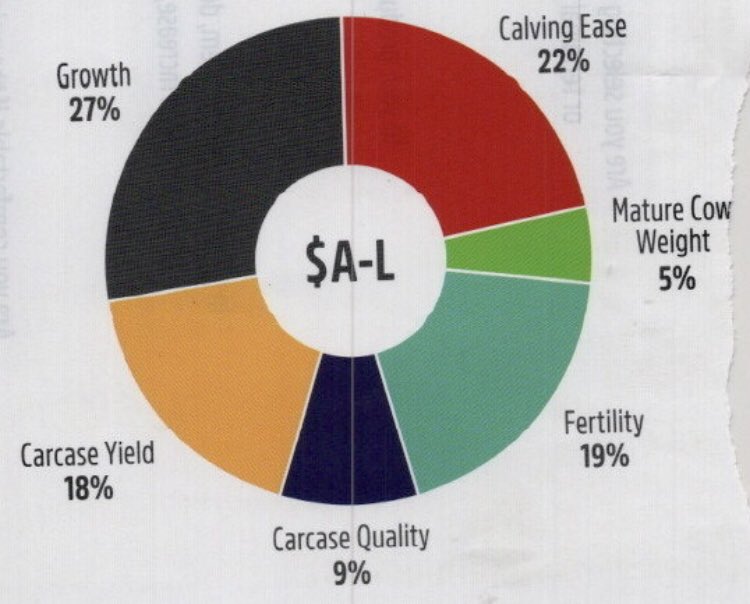 Pathfinder Angus tweet media