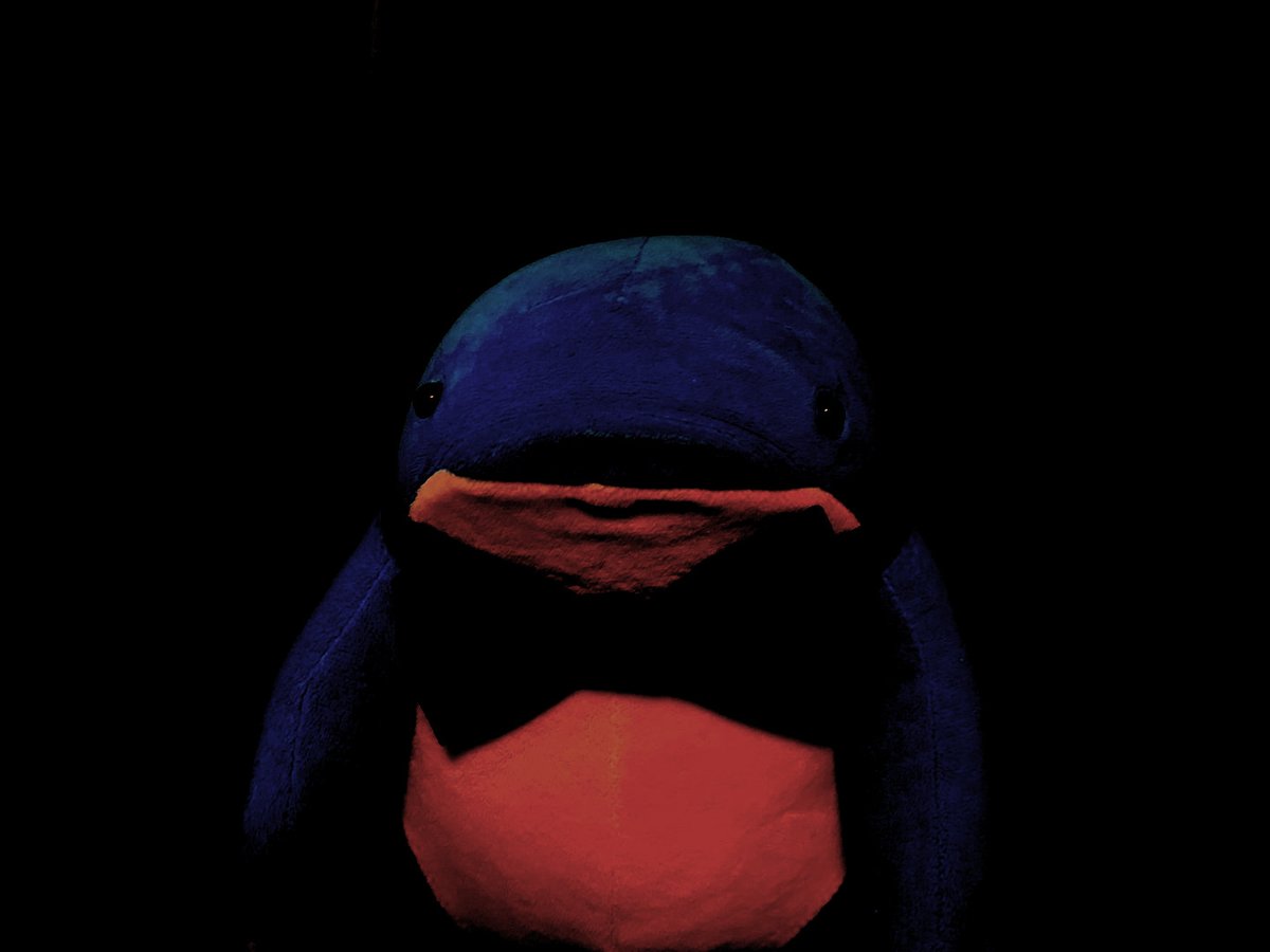 DailyQuaggan's tweet photo. #GuildWars2 #GW2 https://t.co/M8bvLNUFsW
