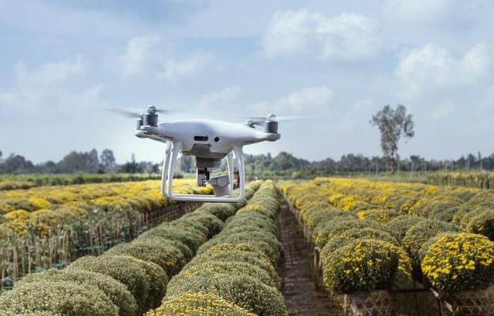 AgriculturePost's tweet photo. Govt to provide financial support for use of drones in agriculture under ‘Sub-Mission on Agriculture Mechanization’
#Click 2 Read: https://t.co/5BdBjCoF0G
#Drones #Agriculture #AgriMachinery #Technology #FarmMachinery #CustomHiring https://t.co/bUonGHarp2