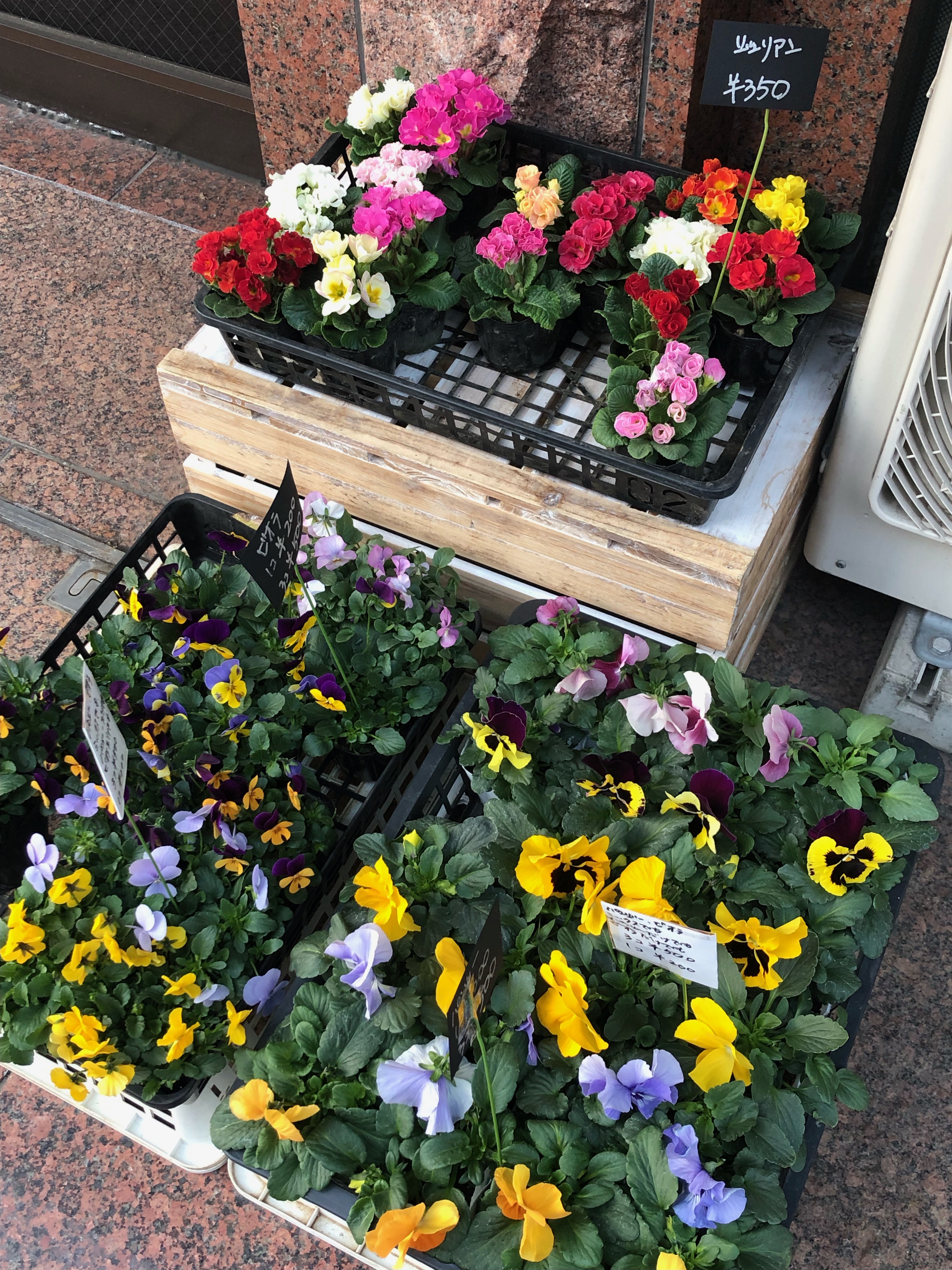 スズキ花店 Suzuki Hanaten Twitter