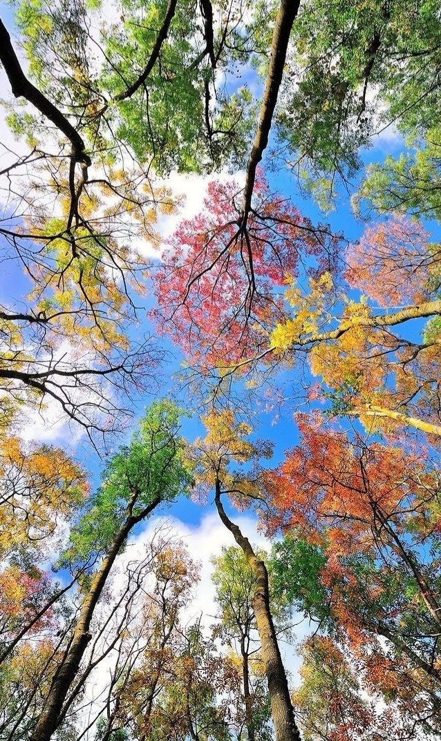 SummerK17742538's tweet photo. Colorful Monday ❤💛💚💙💜 https://t.co/SWI6KFffkV