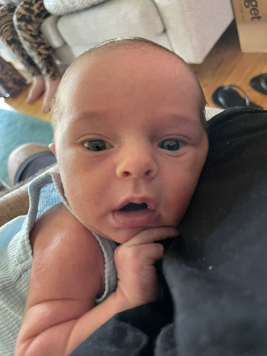 jamiemanson101's tweet image. 2 weeks with this guy already! We love your cuddles! #NewBorn #2WeeksOld #BabyBen