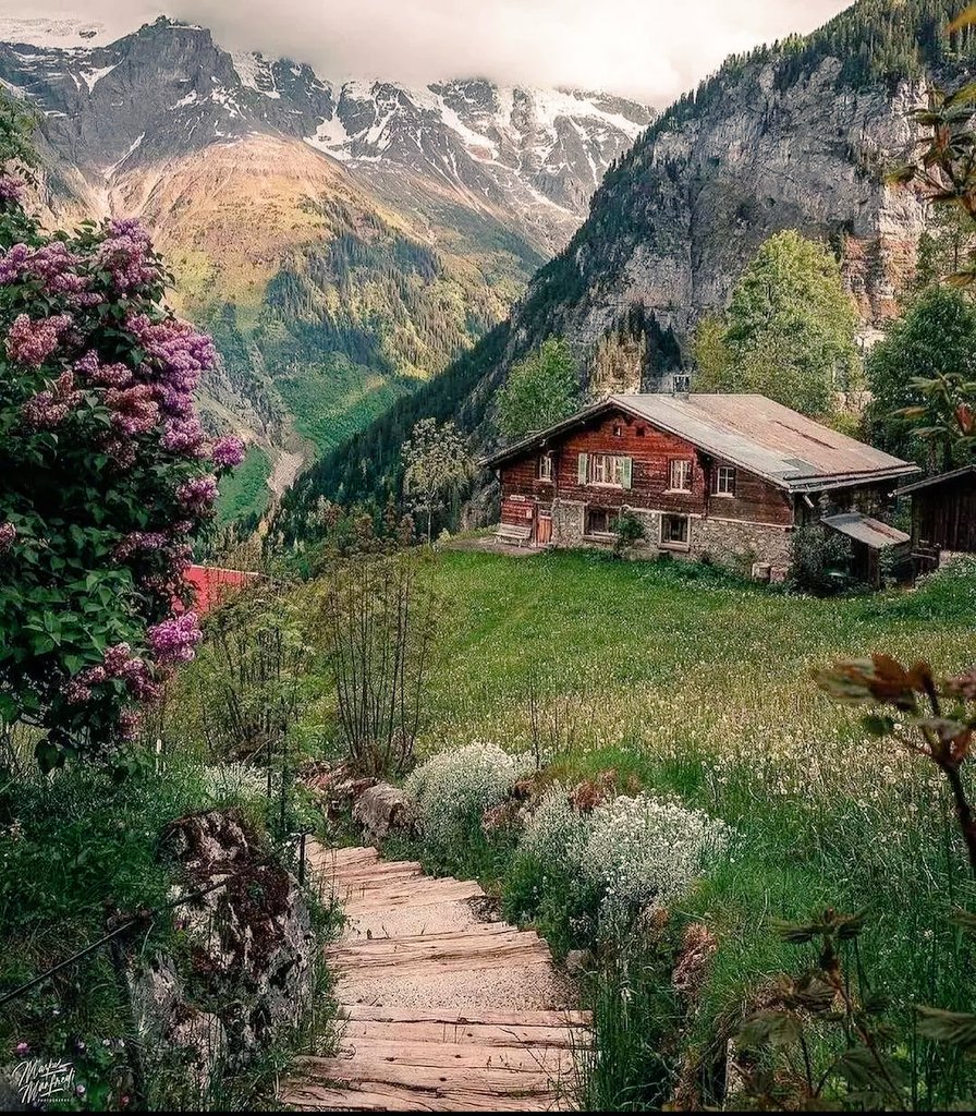 alexa_xan7's tweet photo. Wherever you are ♥️
Good morning https://t.co/dyhWpnaVMm