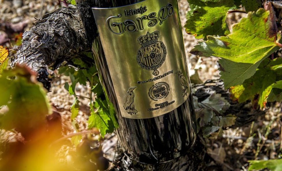 BurgosAlimenta's tweet photo. Comenzamos la semana con unos vinos burgaleses que nos llegan desde Aranda de Duero, los de @LGarsea.
Una bodega familiar en el corazón de la Ribera del Duero. 🍷

🛒 https://t.co/Qos5wSwVqJ https://t.co/30rcxdTwB6