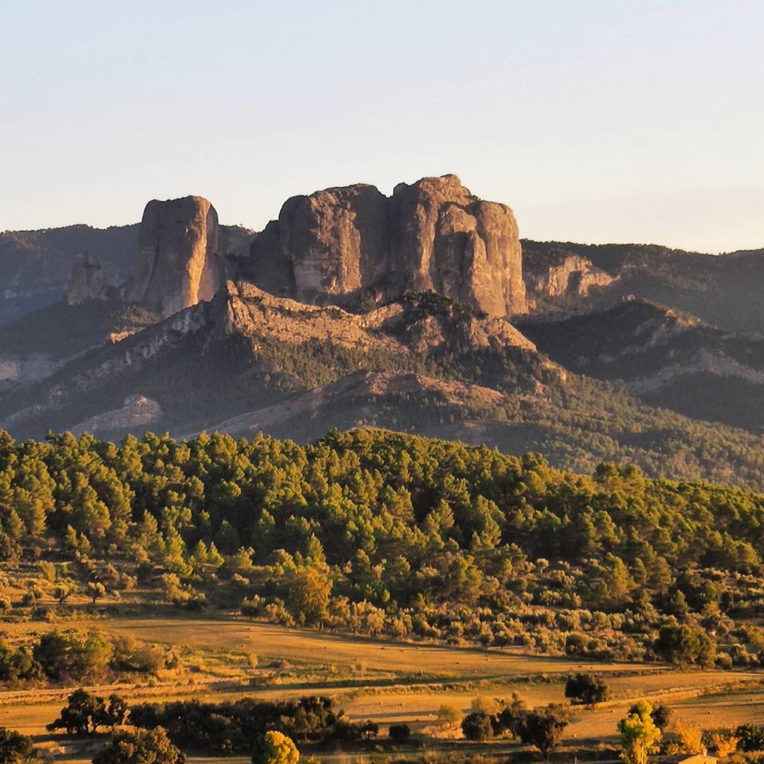 terresebretur's tweet photo. ⛰️  Al cor de la #TerraAlta hi trobareu #HortadeSantJoan, un petit poble medieval envoltat d’un entorn natural únic i singular d’on hi destaquen les #RoquesdeBenet, un dels símbols del #ParcNaturaldelsPorts.

📸  tonidm4, gemmafla, lugaresdeanahi, annaf856

#TerresDelEbre https://t.co/egqGQucVQU