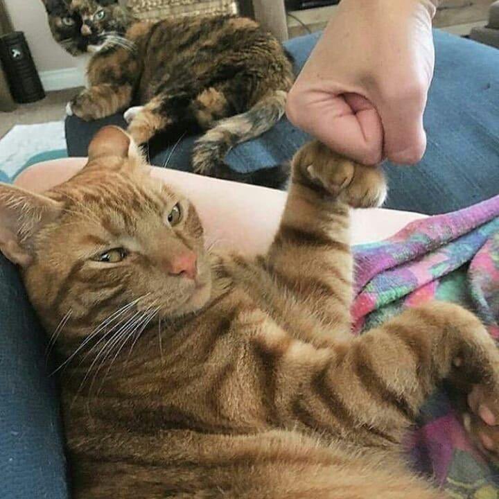 วันนี้จิแวะเวียนมาชนหมัดกับเรายัง