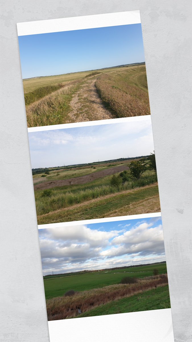 enablingwings's tweet image. Manic Monday!

How are you organising yourself to have the best and most productive week?

Google is telling me to get outside in nature!

Sometimes if you take a step back it things will all become clear.

#enablingwings