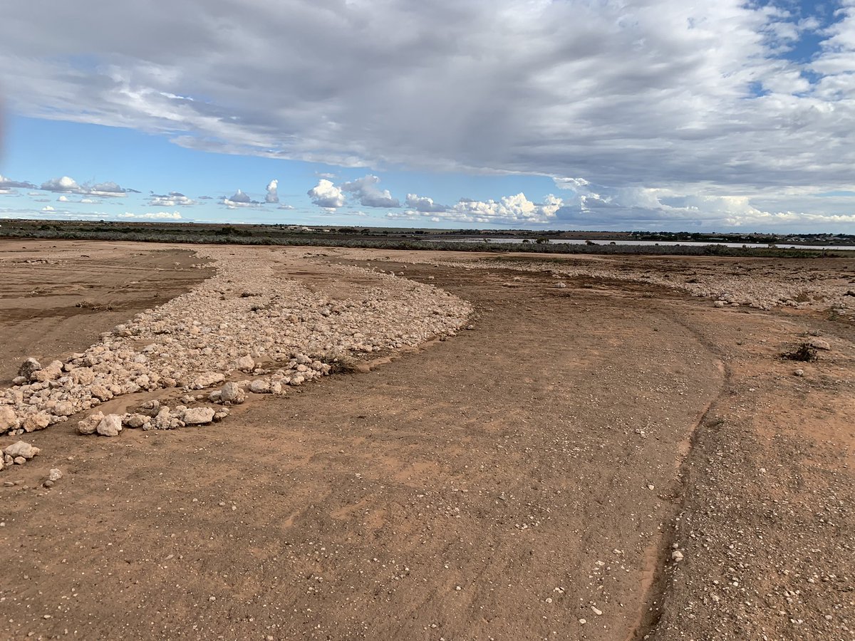 Stephen Paddick tweet media