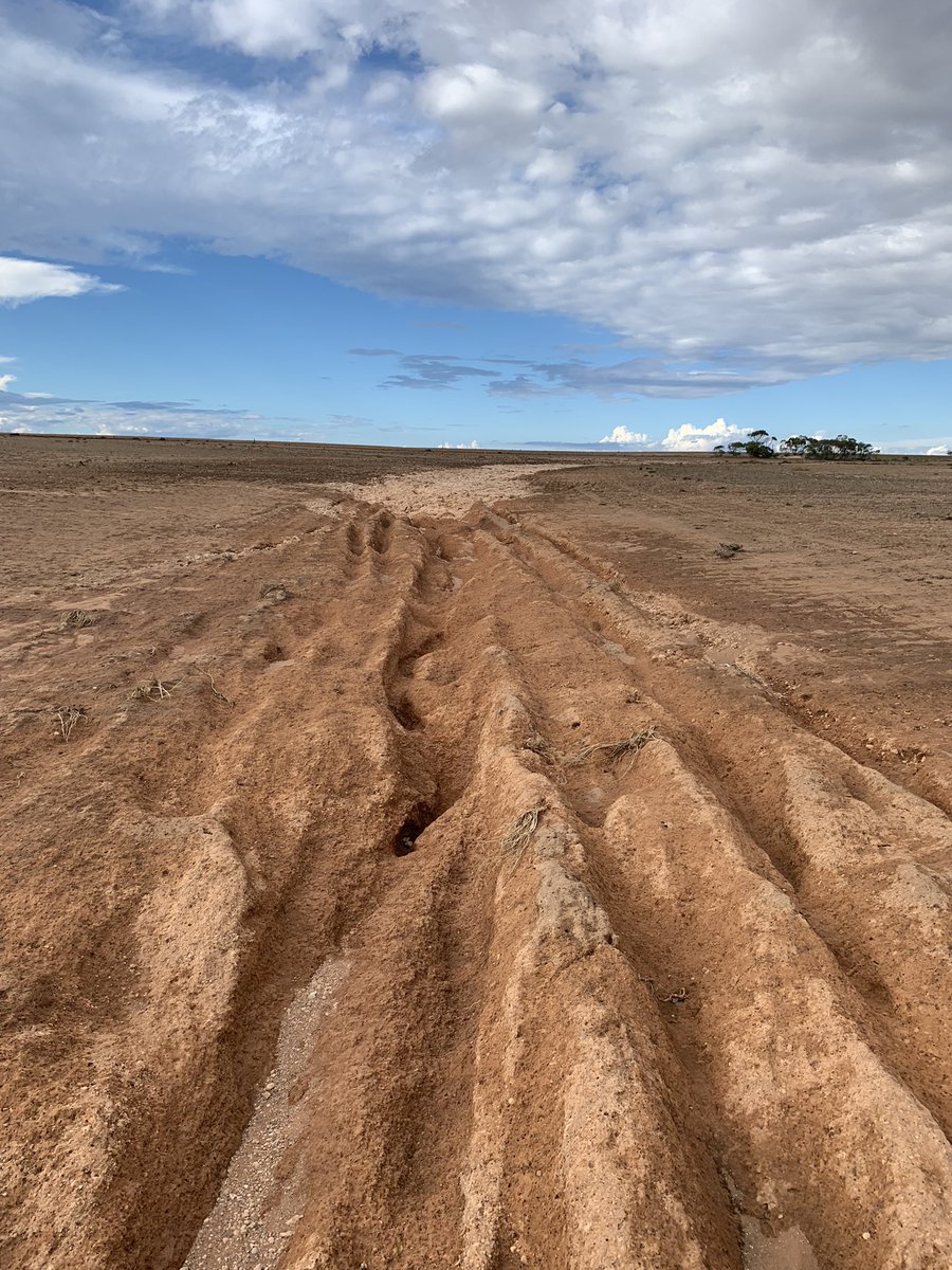 Stephen Paddick tweet media