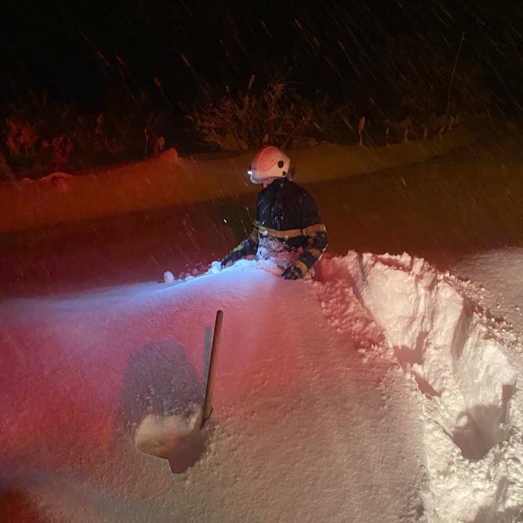 duzcebld's tweet photo. Nerede ihtiyaç varsa oradayız 👨‍🚒🚒

❄️ Kar yağışı nedeniyle çöken ahırda kalan 12 büyükbaş hayvan itfaiye ekiplerimiz tarafından kurtarılarak sahibine teslim edildi. 

Bizim için her can önemli ❤️

#DüzceİçinCanlaBaşla https://t.co/UHLUt52DHF