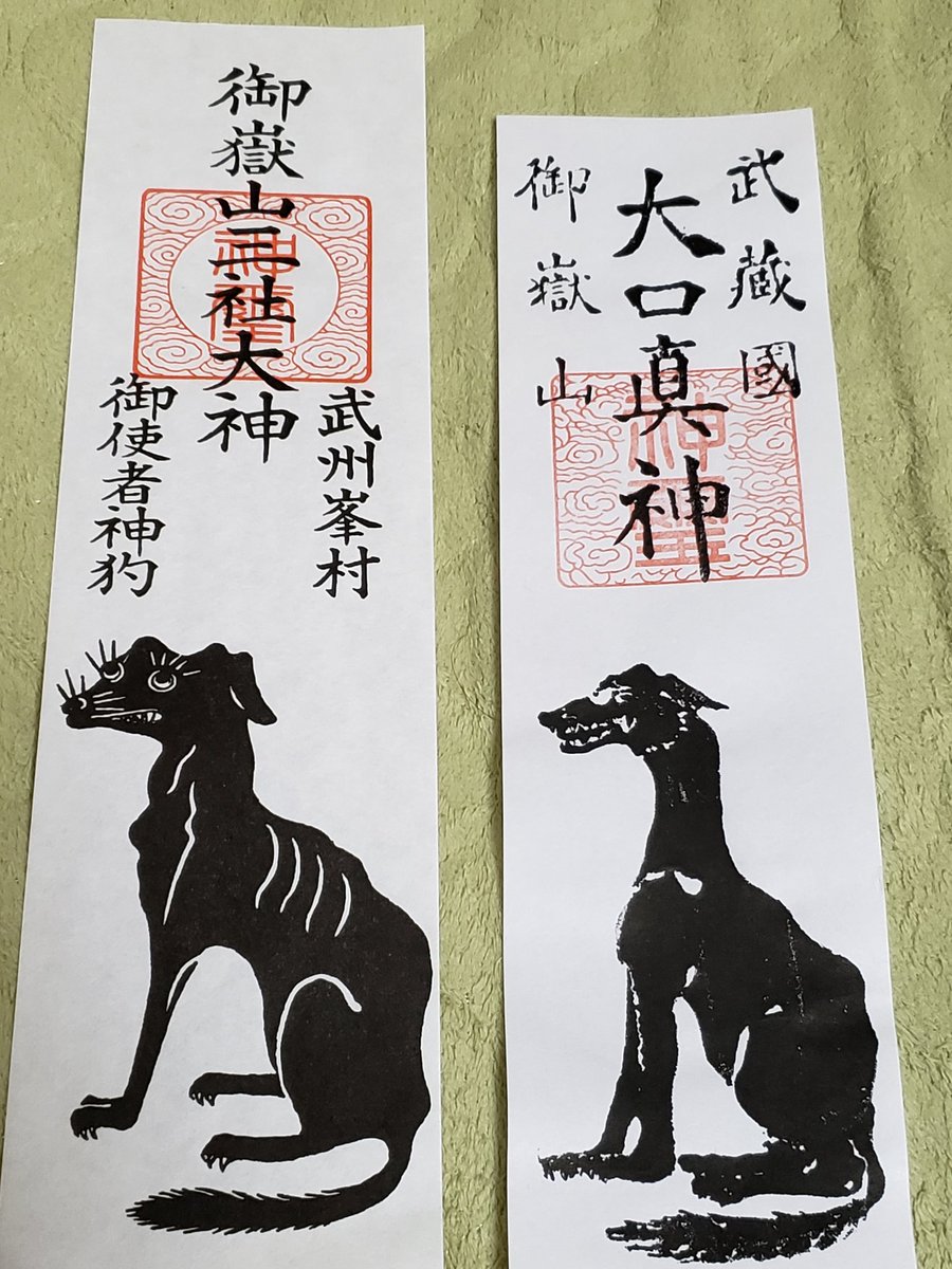 今日のオオカミ参拝
まさか近所に狼信仰の神社が2社もあるとは思わず… 
渋谷の宮益御嶽神社、御嶽山の御嶽神社を訪ねてきました。
左が御嶽山、右が宮益御嶽の御朱印と護符になります。 