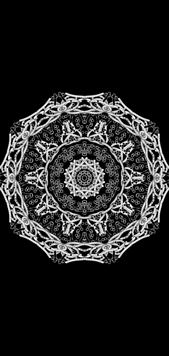 GeometricZen tweet media