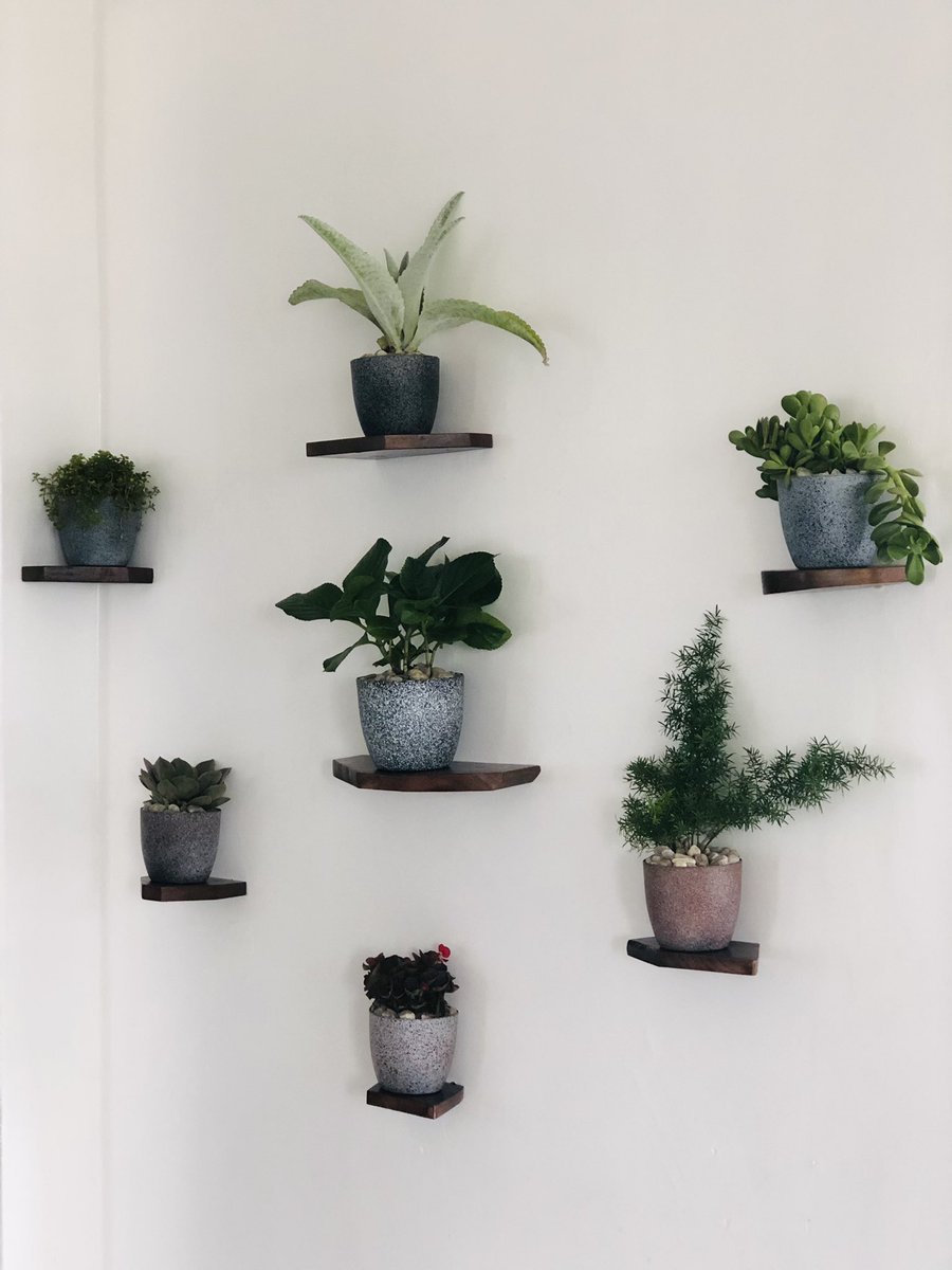 kmme_rwanda's tweet photo. It doesn’t require much to decorate your home..less can make a big difference..a little bit of imagination and some flower pots #interiordesign #homedecoration #RwOT https://t.co/xpCqtrWs6n
