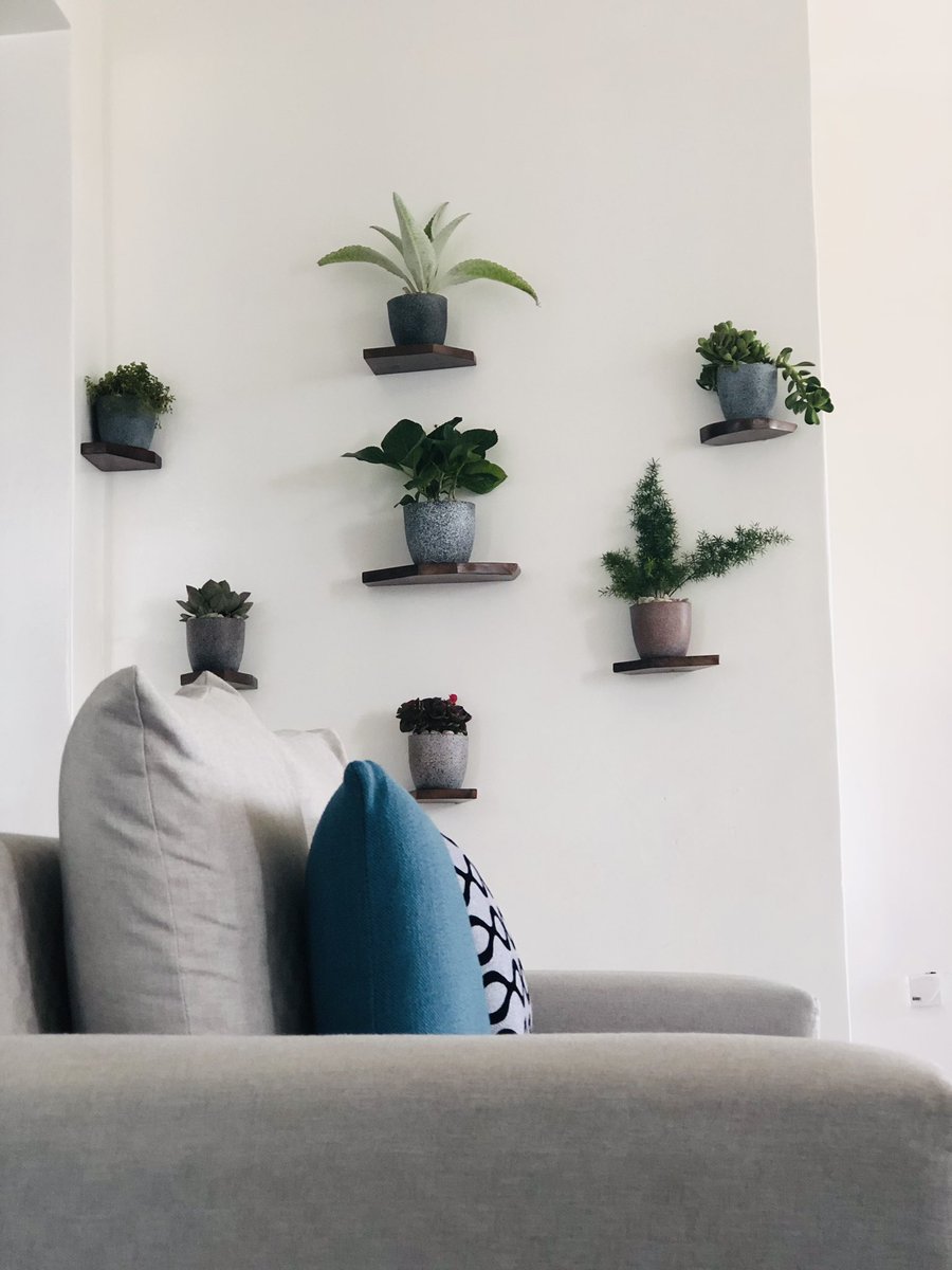 kmme_rwanda's tweet photo. It doesn’t require much to decorate your home..less can make a big difference..a little bit of imagination and some flower pots #interiordesign #homedecoration #RwOT https://t.co/xpCqtrWs6n
