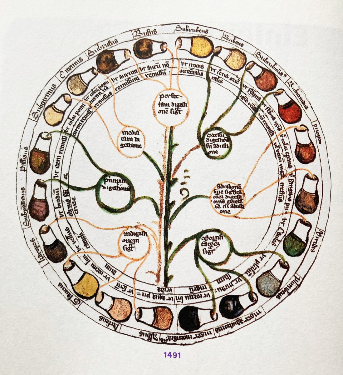 Clara Dealberto tweet media