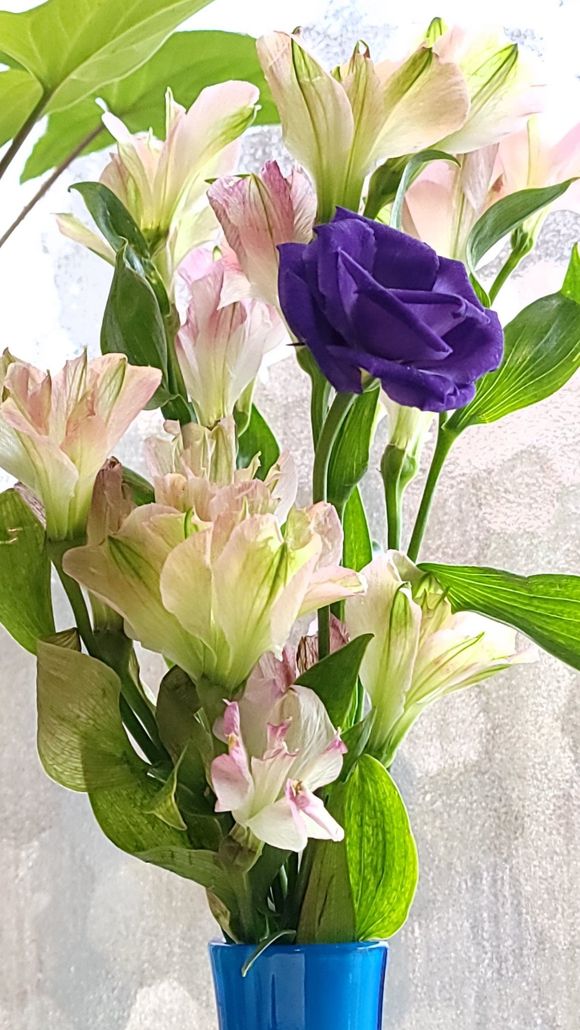 310ayumi 作品撮りのために生花を買うまで 切り花が想像以上にもつことを知らなかった これは12月の撮影で使った花たちで 1ヶ月以上経つ 撮影後もこうやって部屋を彩ってくれるのがお花の良いところ T Co W7pgov5rcr Twitter