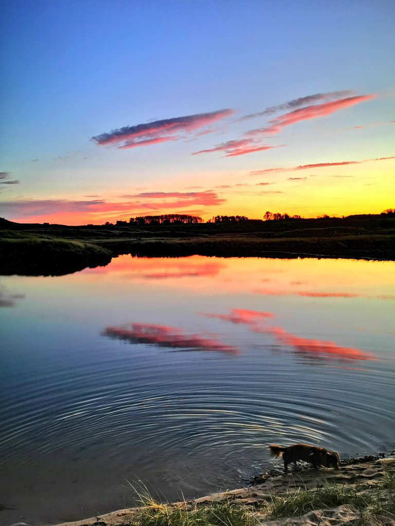 Adam ⚓ tweet media