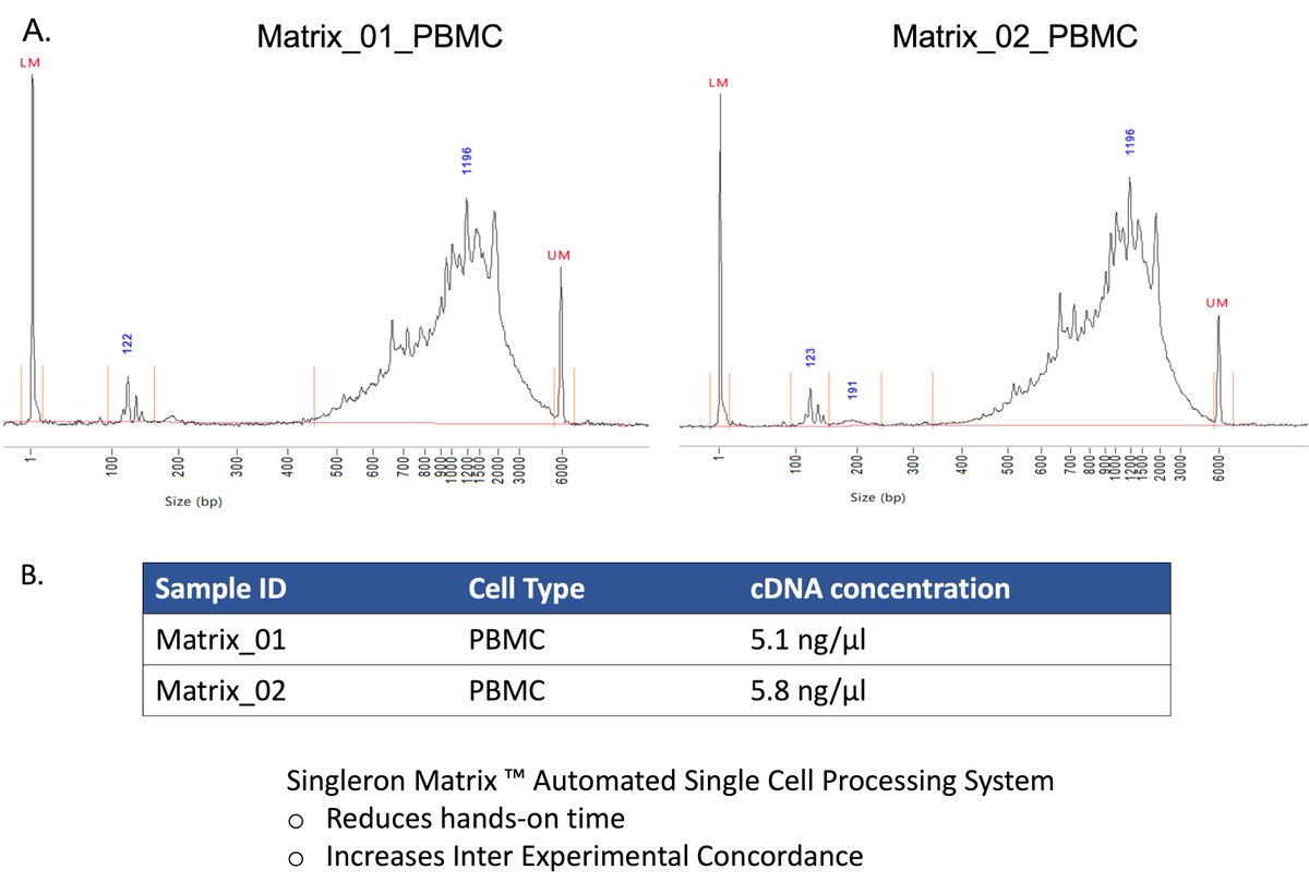 Singleron_Bio's tweet photo. High reproducibility using #Singleron #Matrix ™ #SingleCell Processing System and #GEXSCOPE™ Single Cell RNA Library Kit.
A: cDNA trace of #PBMC samples is shown after Reverse Transcription and cDNA Amplification. B: cDNA concentration.
Find out more:
https://t.co/YIoishVyGW https://t.co/DFREINR926