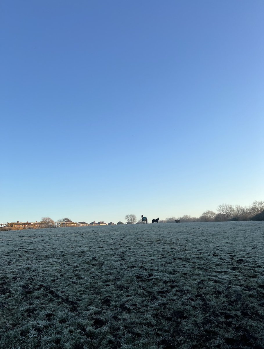 Beating the Monday Blues and ticking more off the checklist! @GetOutsideSom #beattheblues #GetOutsideInSomerset #GoTeamHiS <a href="/HomesSedgemoor/">Homes in Sedgemoor</a> 🌳☀️