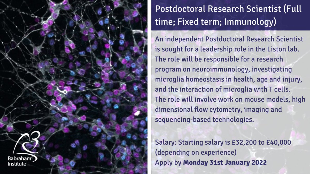 LAST CHANCE TO APPLY: We're recruiting a Postdoctoral Research Scientist to join <a href="/LabListon/">Adrian Liston</a> to work on a #neuroimmunology project investigating #microglia homeostasis in health, age &amp; injury

Apply by 31st Jan
Full details ➡️ ow.ly/43WE50Hhmz1
#ScienceJobs #ResearchJobs