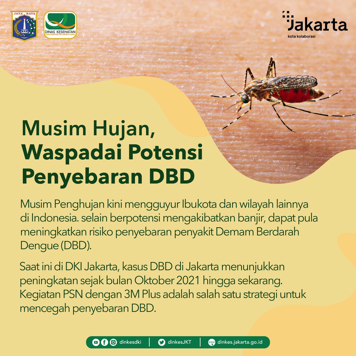 dinkesJKT's tweet photo. Healthies! Waspada peningkatan kasus Demam Berdarah Dengue (DBD) saat musim hujan.

Kegiatan PSN dengan 3M Plus adalah salah satu strategi untuk mencegah penyebaran DBD.

Cari tahu kegiatan PSN dengan 3M Plus melalui artikel berikut👇🏻

https://t.co/RqZd9hAeWu

#3MPLUS #DBD https://t.co/iQGljz9ECe
