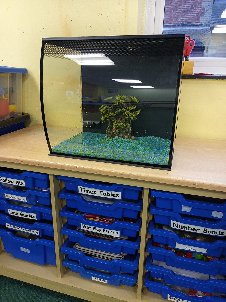 Our new tank that some children will be helping to develop with Mr Jones. Thank you to <a href="/the_fishkeeper/">Maidenhead Aquatics</a> for letting us be part of this year's Fishkeeper programme.