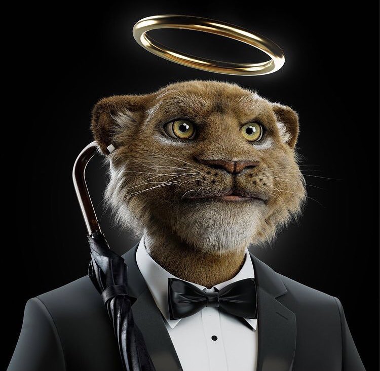 Saad77786's tweet photo. @bigcats_nft Cant wait to be whitelisted https://t.co/IsO2SAd3Sq