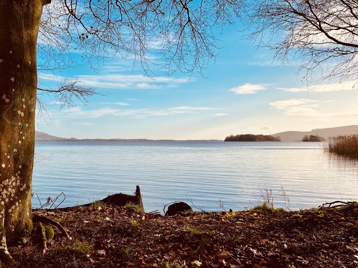 SarahCoulthurs1's tweet photo. Do you want to live in beautiful Scotland and work on T6SS effectors? Do you want to join (or remain in) the vibrant UK Microbiology community @MicrobioSoc? Do you have expertise in applying next-gen sequencing or bacterial cell biology? Postdoc available:
https://t.co/q1uMIQ7rRH https://t.co/1WEX9lGgfS