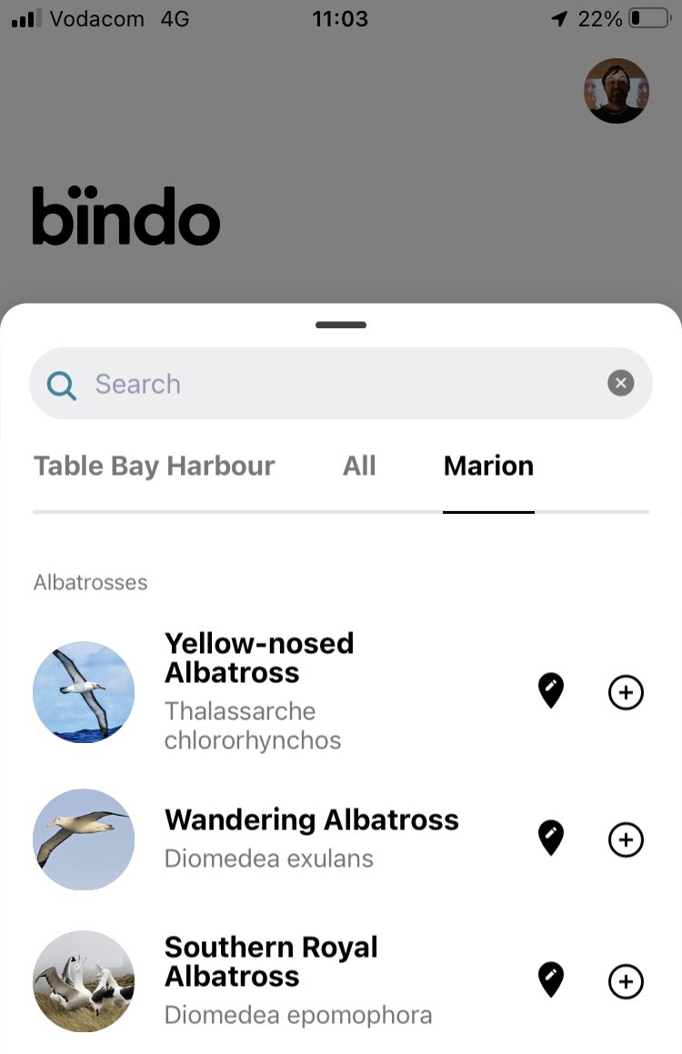 Custom Marion recommendations added for this week on ⁦<a href="/bindobirding/">bïndo</a>⁩ #flocktomarion