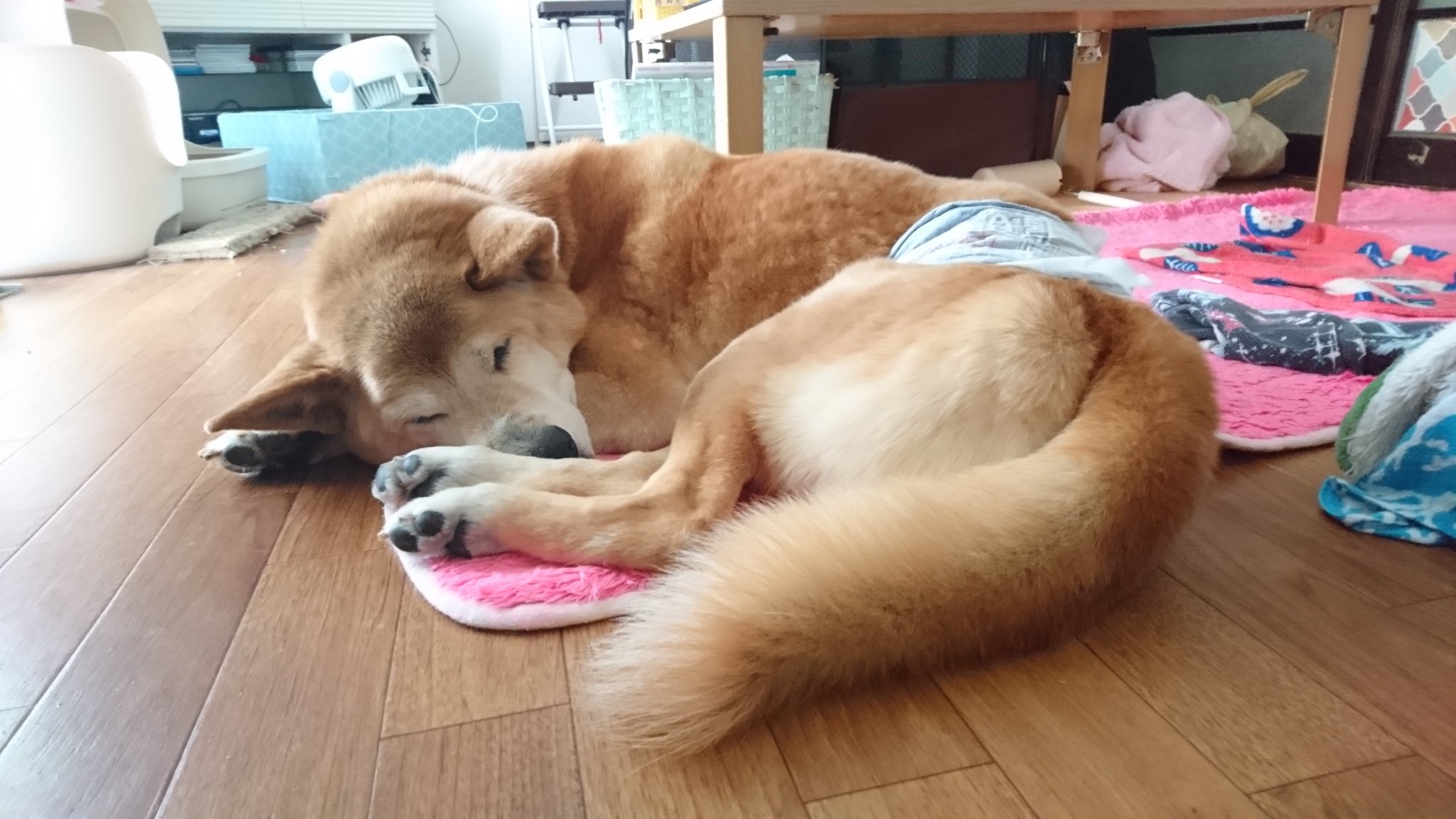 さっきまで仕事してた Prm1121 Twitter