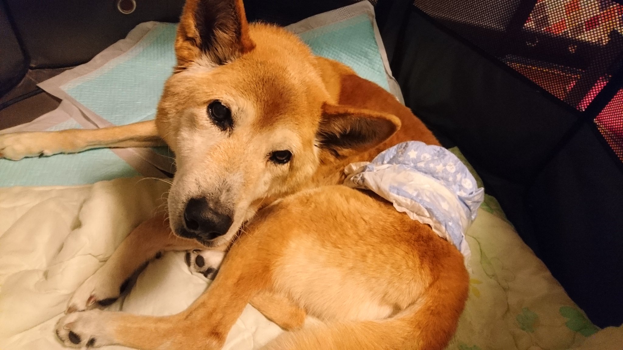 さっきまで仕事してた Prm1121 Twitter