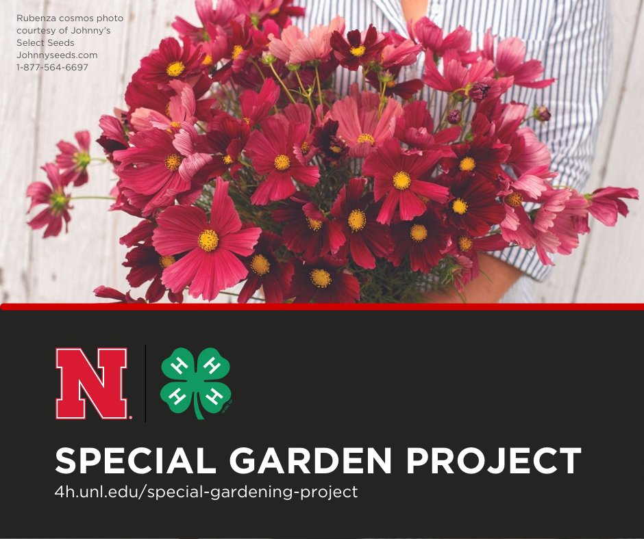 Hall County 4-H tweet media