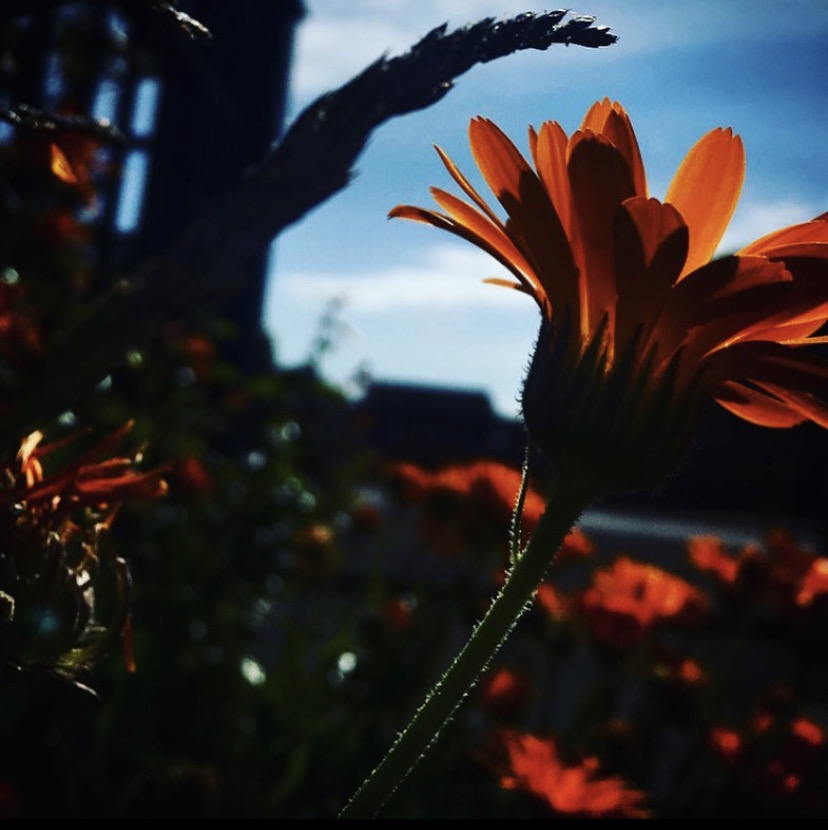 Like cold mornings? They're great for Skye Clifford, Year 2 A Level Photography