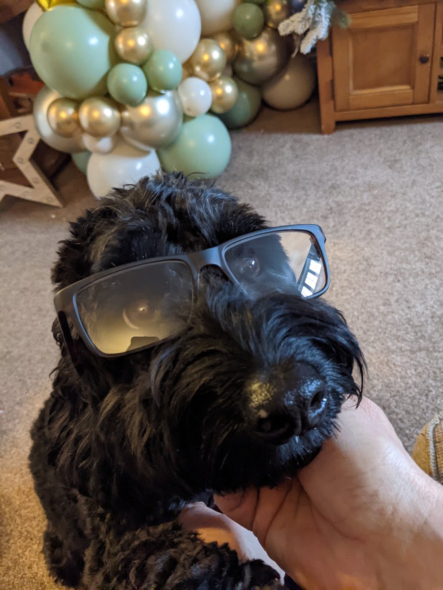 I wanted to let you know I'm still here and still taking on branding projects and I'll be posting some of my recent projects over the next few weeks, give me and Ruben a call to discuss your branding needs. #branddesigner #graphicdesignservices #dogsatwork #dogsatworkrule