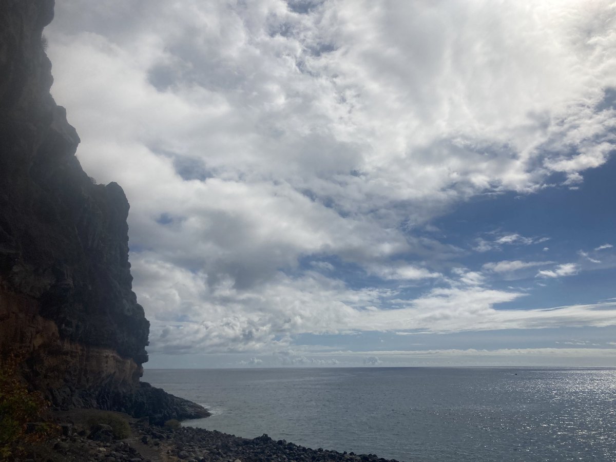 TrackDogsMusic's tweet photo. La mejor comida en La Gomera #restaurantechalana #cherne #gambasalagomera #calamaresalaromana #garajonay https://t.co/afqDNw9iVd