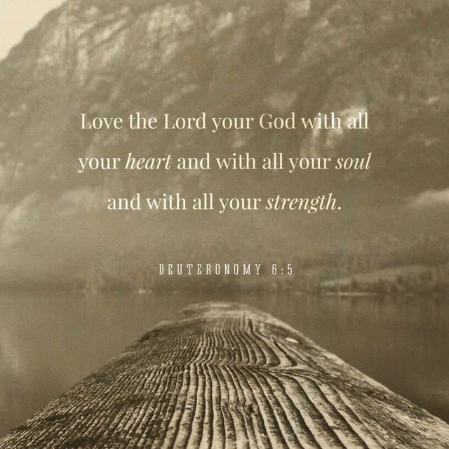 PeterKuskis's tweet image. bible.com/bible/114/deu.…