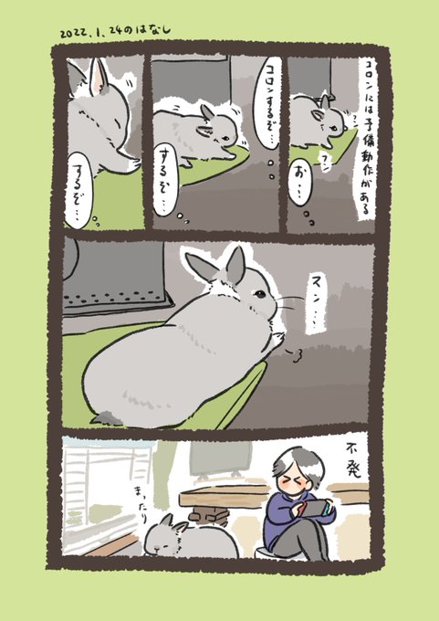 今日のrabbit…
#うさぎのいる生活 